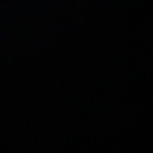 Meet your Posher, Joey